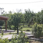 Galea ريبوسْتو