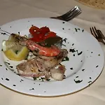 Galea