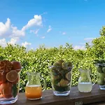 مزرعة للإقامة Galea ريبوسْتو