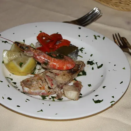 Galea