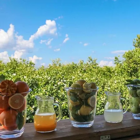 Alloggio per agriturismo Galea Riposto