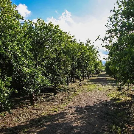 Alloggio per agriturismo Galea