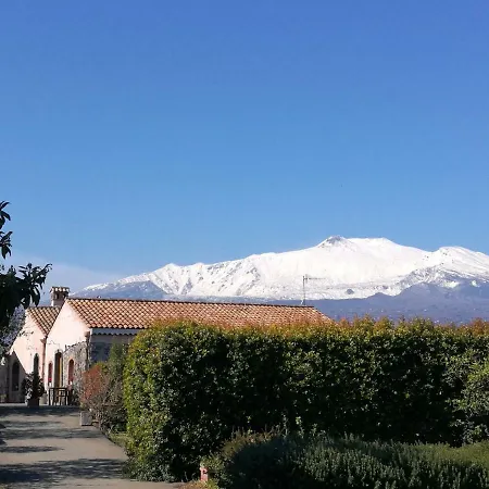 Galea * Riposto