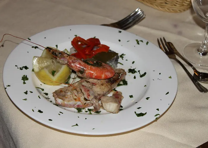 Galea