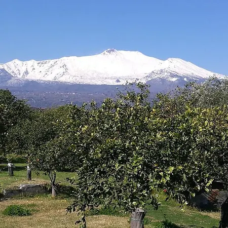 Galea ريبوسْتو