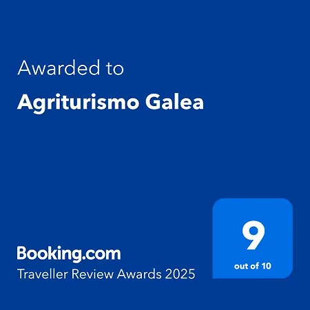 Galea