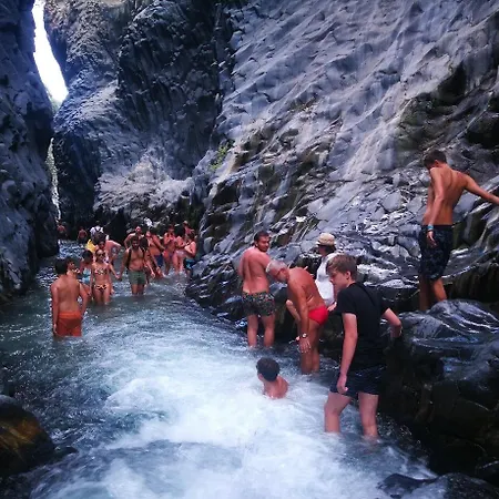 Galea