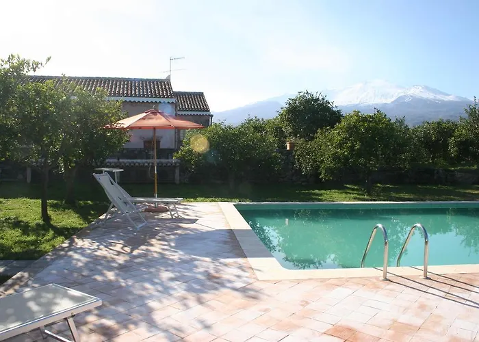 팜스테이 Galea *