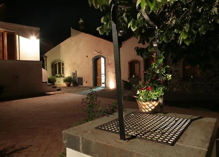 팜스테이 Galea 리포스토