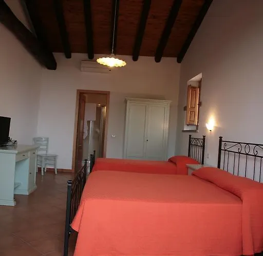 Galea 팜스테이 *