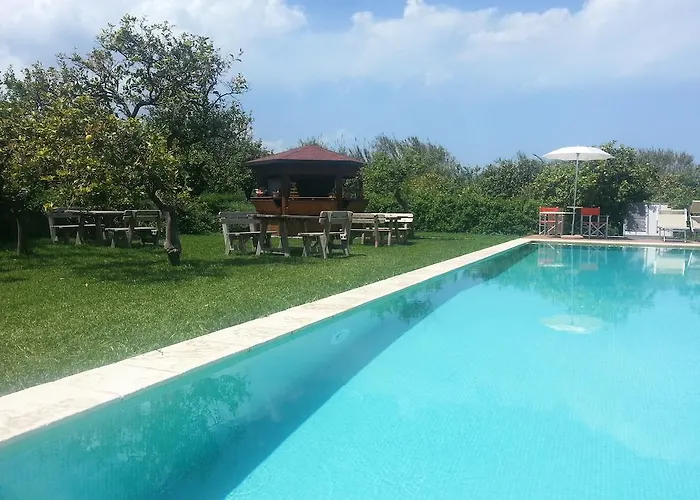 Galea * 리포스토