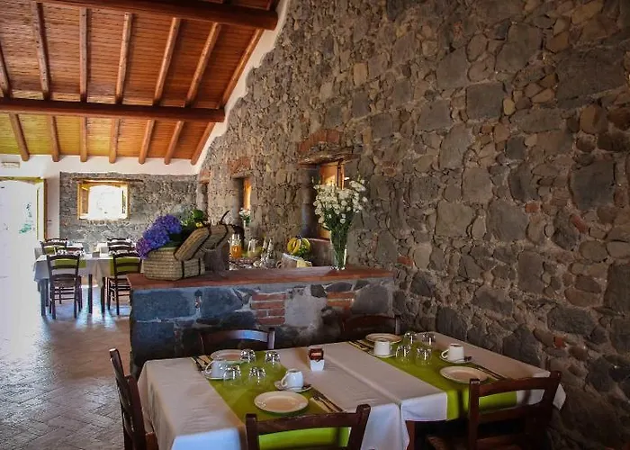 Galea * 리포스토