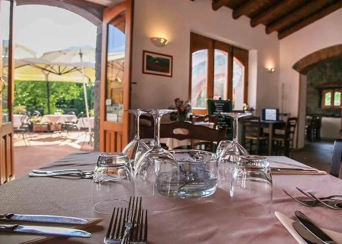 Galea * 리포스토