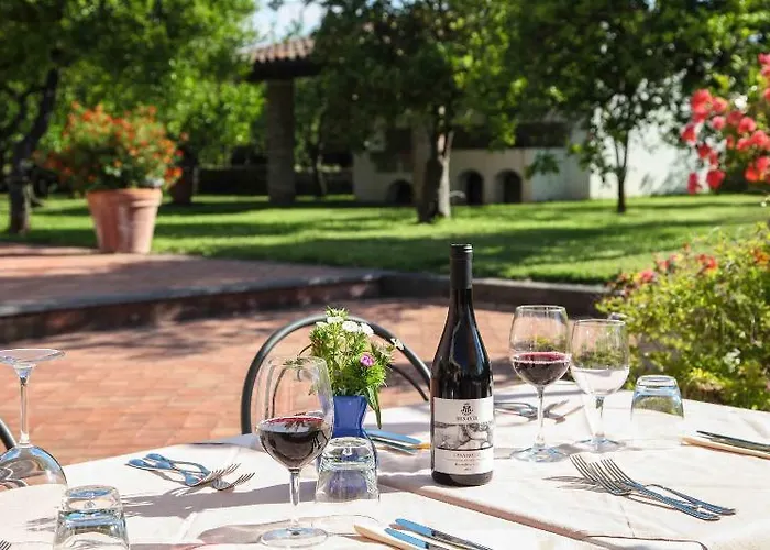 Galea 팜스테이 리포스토