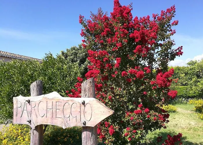 Galea 팜스테이 *