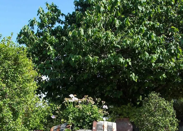 팜스테이 Galea *