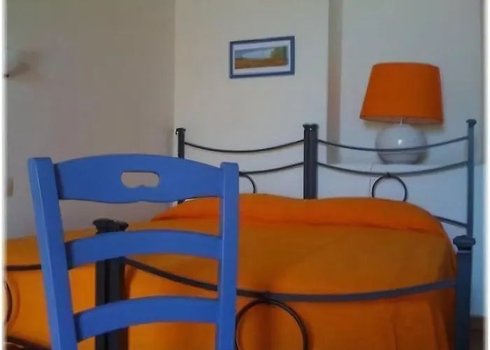 팜스테이 Galea 리포스토