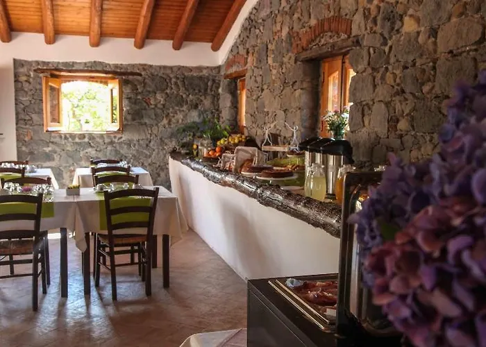 Galea 팜스테이 리포스토