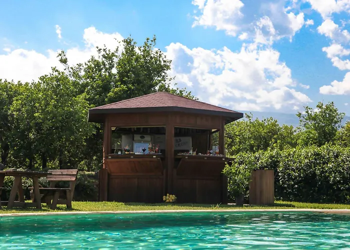 Galea 팜스테이 리포스토