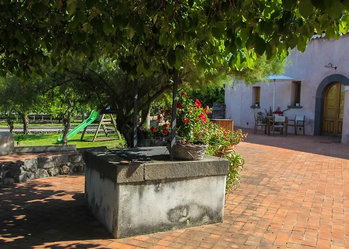 팜스테이 Galea *