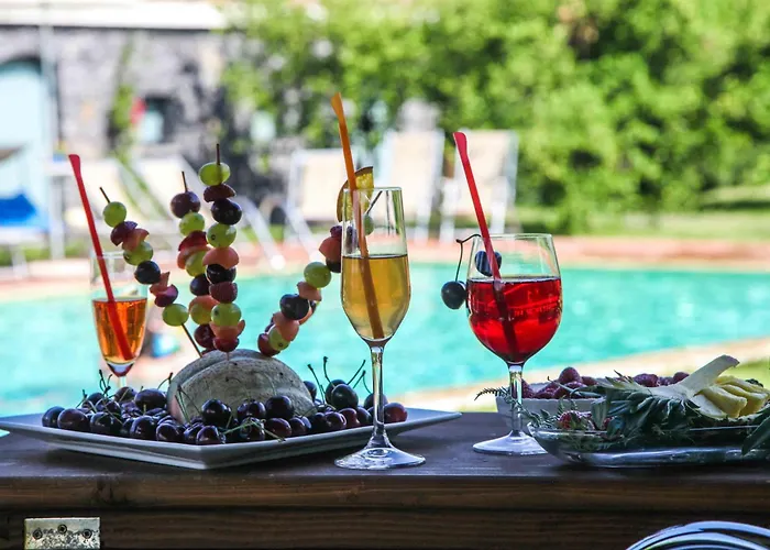 Galea 팜스테이 리포스토