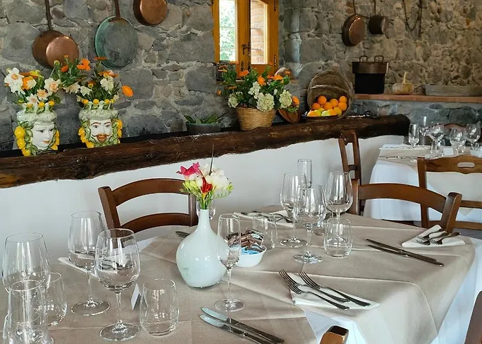 팜스테이 Galea *