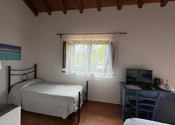 팜스테이 Galea *