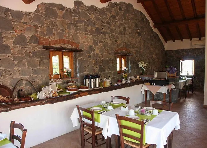 Galea * 리포스토