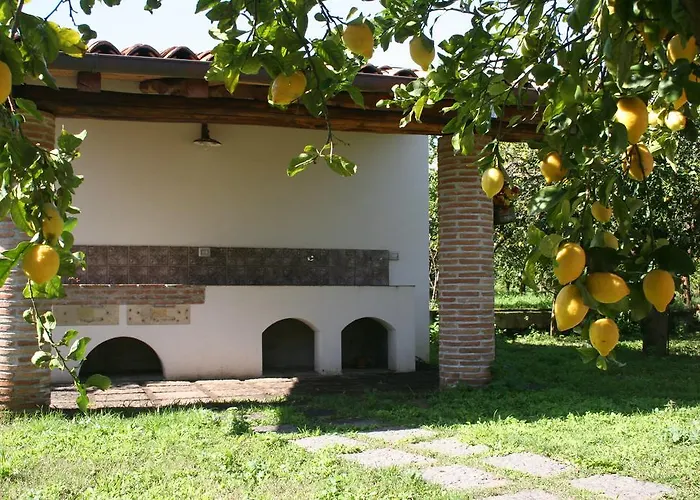 팜스테이 Galea *