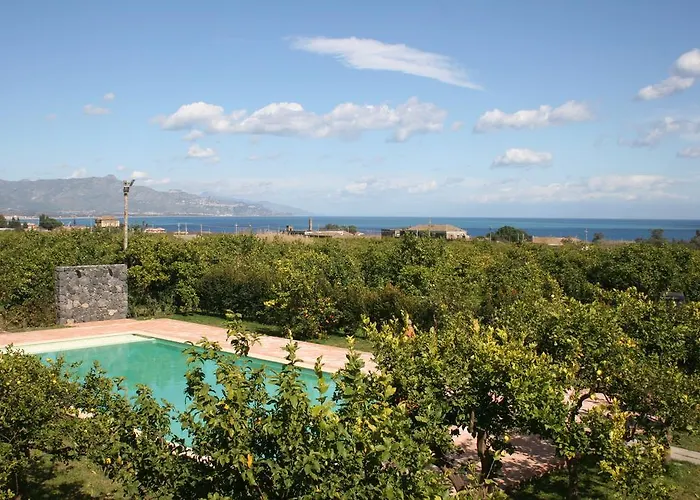 Galea 팜스테이 리포스토