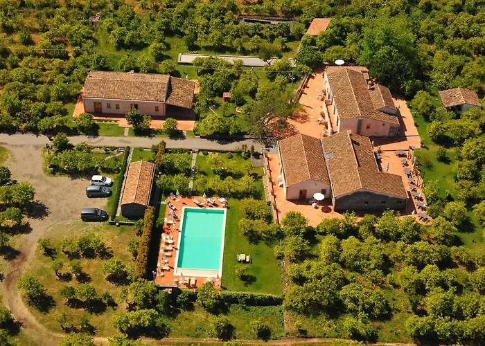 Galea * 리포스토