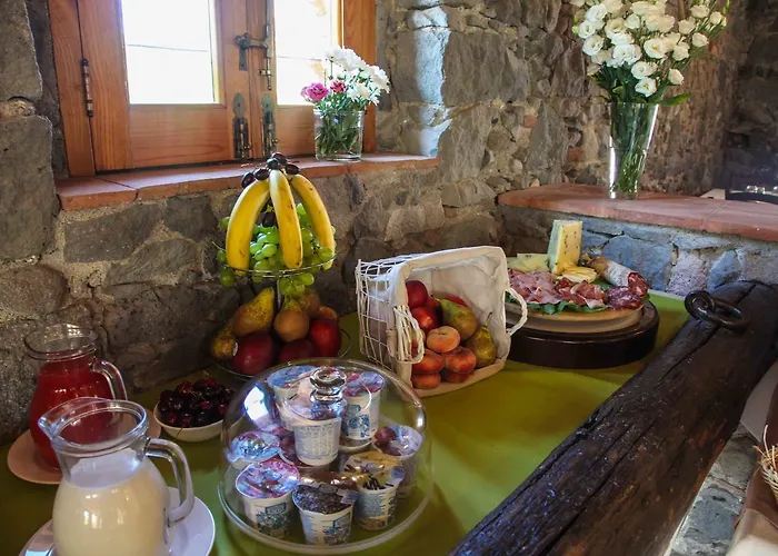 Galea * 리포스토