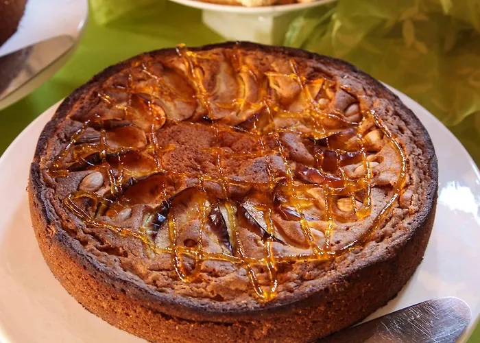 Galea * 리포스토