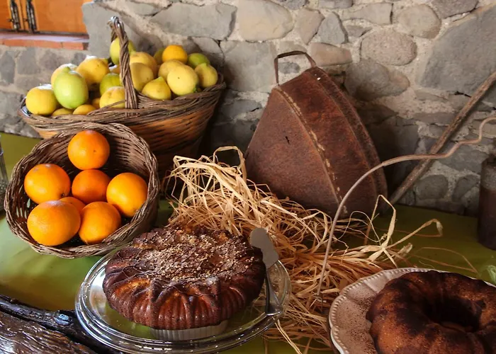 팜스테이 Galea 리포스토