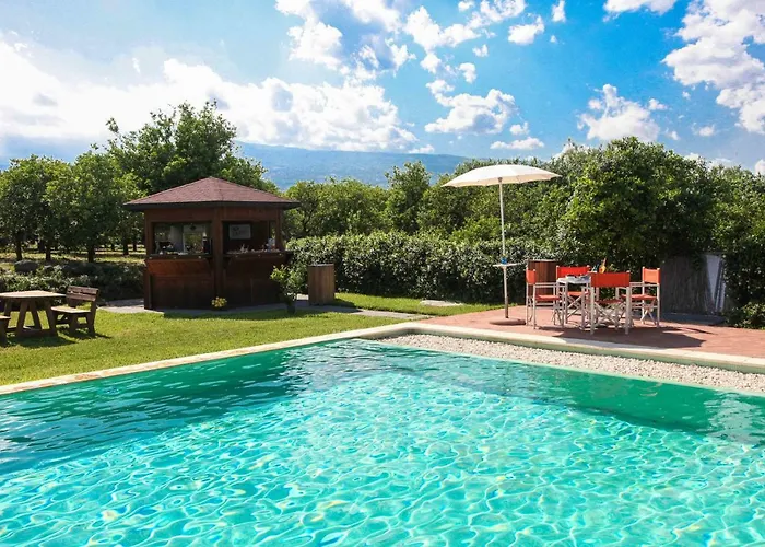 팜스테이 Galea 리포스토