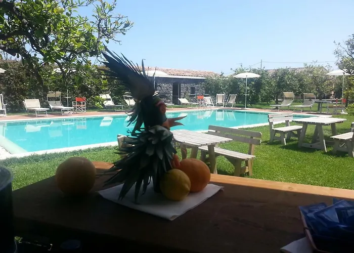 팜스테이 Galea 리포스토